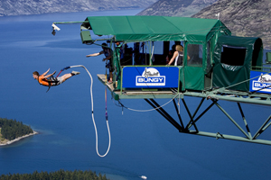 Bungy And Swing