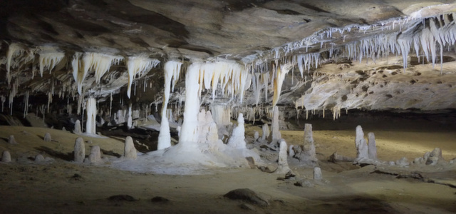 Waitomo Glow Worm Caves and Rotorua Geothermal Deluxe Tour