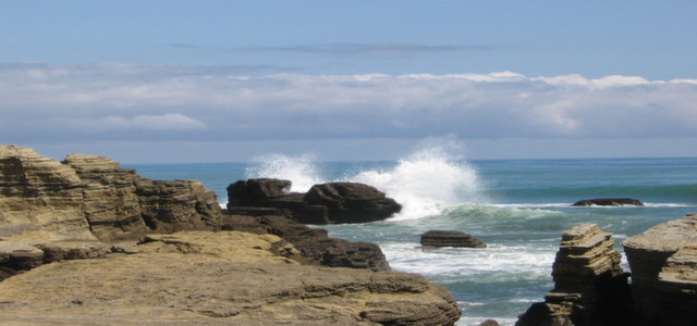 Spectacular Auckland Full Day