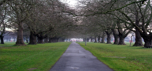 QUEENSTOWN & FIORDLAND