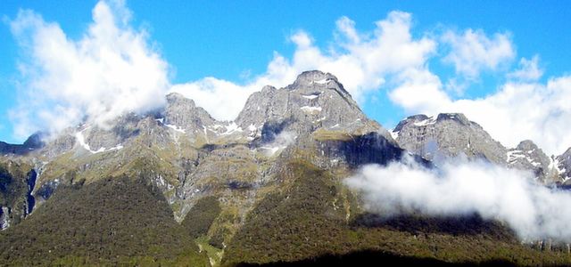 WELLINGTON TO CHRISTCHURCH via KAIKOURA – 3 DAY K AIKOURA WHALE WATCH CR