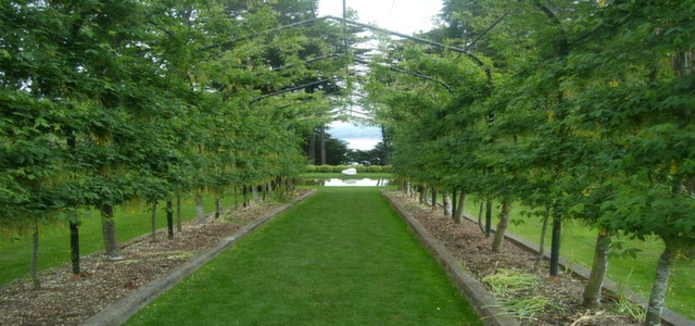 WELLINGTON TO CHRISTCHURCH via KAIKOURA – 3 DAY K AIKOURA WHALE WATCH CR