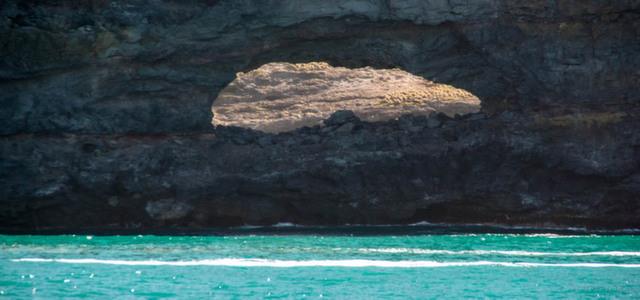 Christchurch Morning Highlights inc Historic Tram