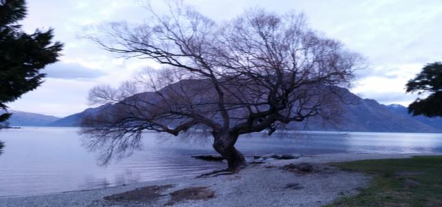 QUEENSTOWN HIGHLIGHTS