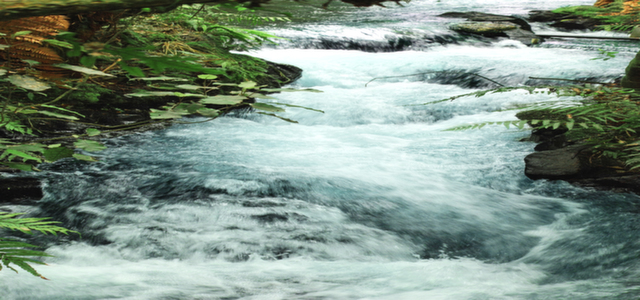 Rotorua and Waitomo Caves Great Day Out