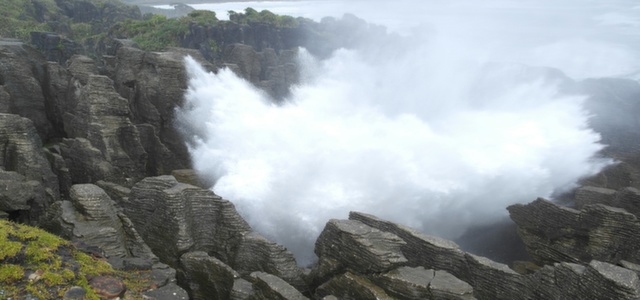 Auckland / Waitomo / Rotorua / Napier /Wellington