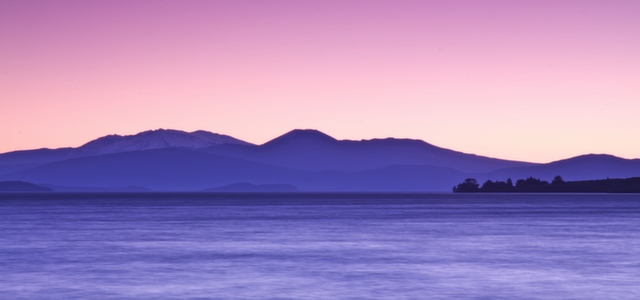 Wellington AM/PM Sightseeing Tour