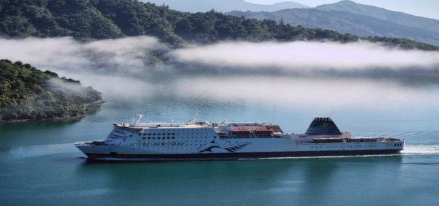 Wellington PM Sightseeing Tour